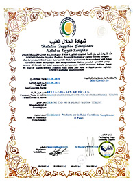 Certificate 6